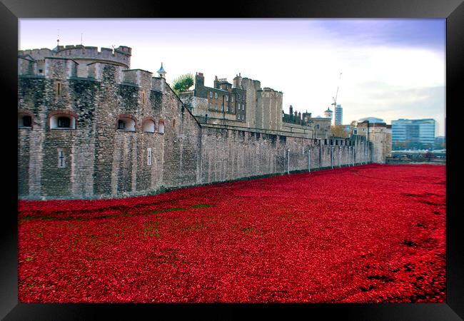 Tower of London's Blood-Red Poppy Tribute Framed Print by Andy Evans Photos
