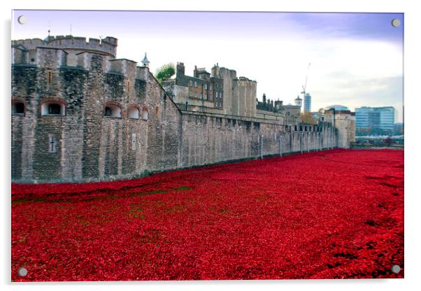 Tower of London's Blood-Red Poppy Tribute Acrylic by Andy Evans Photos