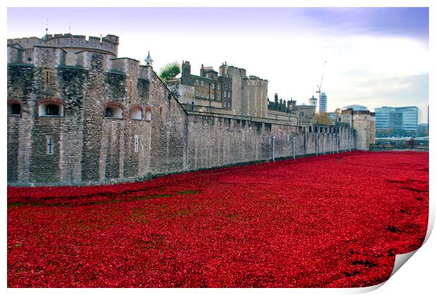 Tower of London's Blood-Red Poppy Tribute Print by Andy Evans Photos