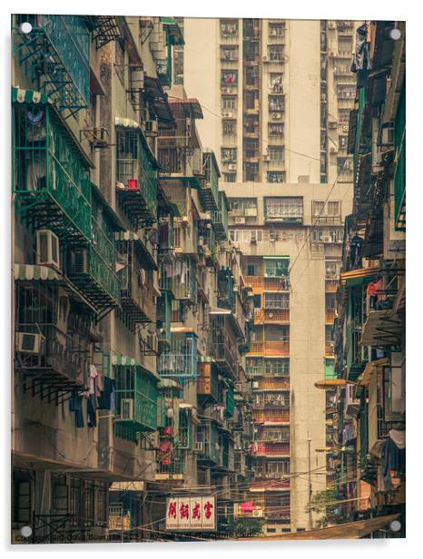 Backstreets of Macau Acrylic by Dave Bowman
