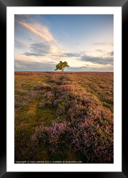 Solitary Tree in Moondusted Yorkshire Twilight Framed Mounted Print by nick coombs
