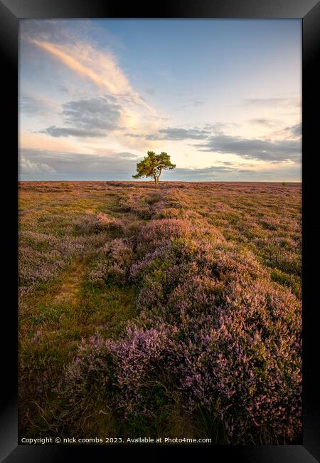 Solitary Tree in Moondusted Yorkshire Twilight Framed Print by nick coombs