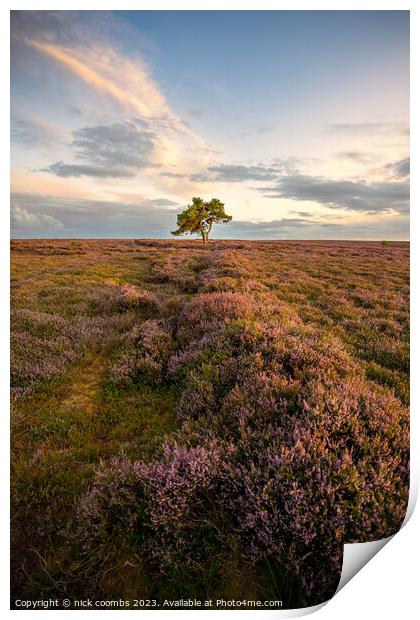 Solitary Tree in Moondusted Yorkshire Twilight Print by nick coombs