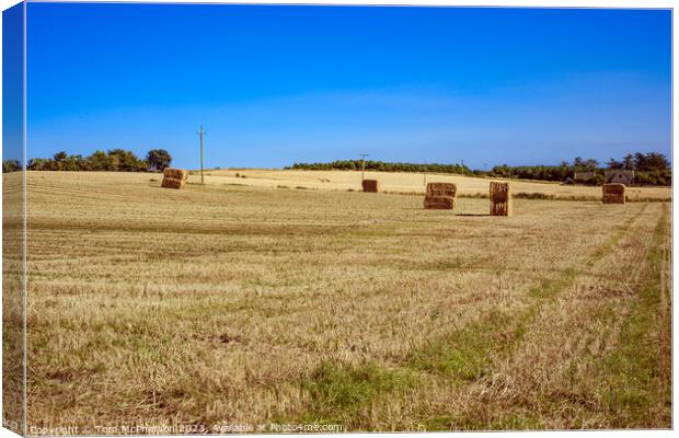 Bountiful Harvest, Lossiemouth Fields Canvas Print by Tom McPherson