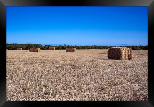 Harvest Bales  at Duffus Framed Print by Tom McPherson