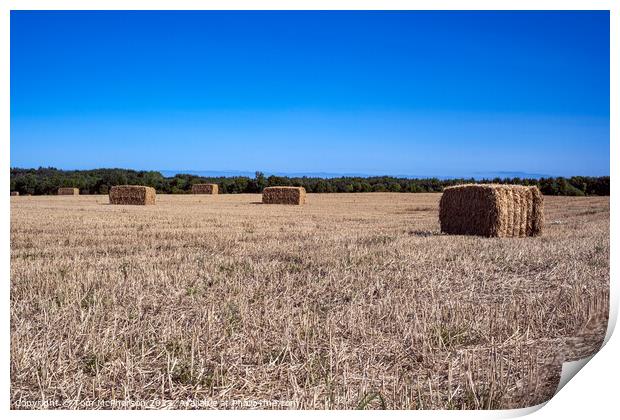 Harvest Bales  at Duffus Print by Tom McPherson
