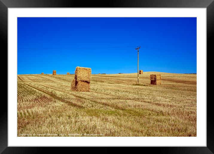 Autumn Gold: Harvest at Lossiemouth Framed Mounted Print by Tom McPherson