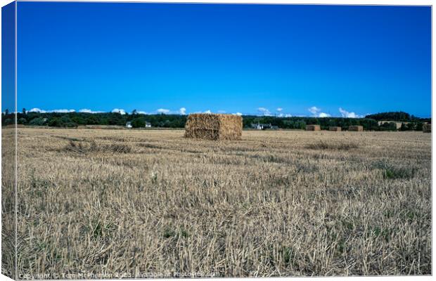 Enigmatic Harvest Bales at Duffus Canvas Print by Tom McPherson