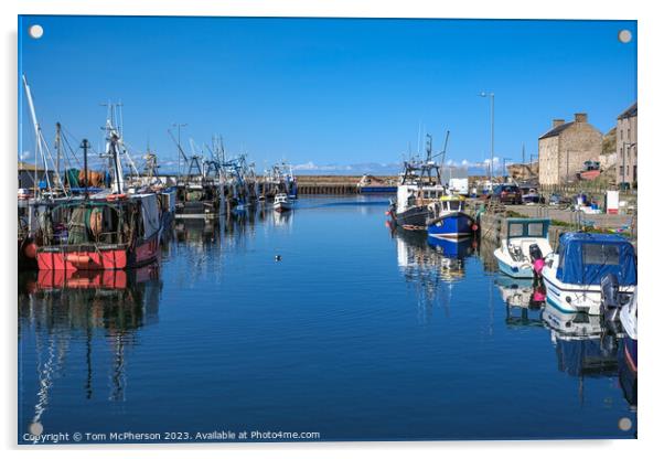 Scottish Haven: Burghead Harbour Acrylic by Tom McPherson
