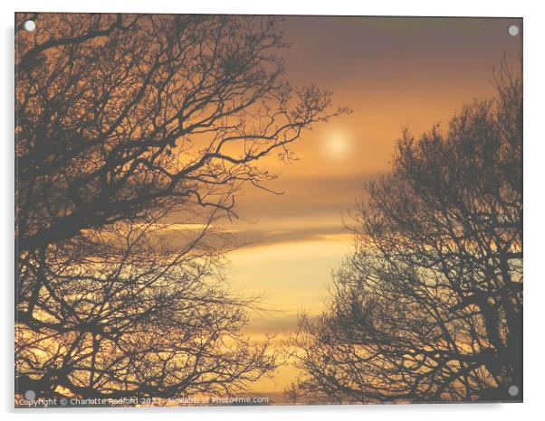 Sundown's Embrace in Prestbury Acrylic by Charlotte Radford