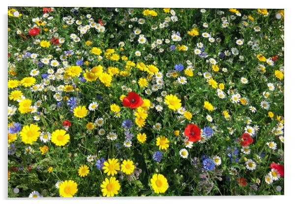 Full frame of Wild Flowers Acrylic by Jim Jones