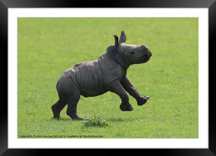 Happy baby Rhino Framed Mounted Print by Gemma De Cet