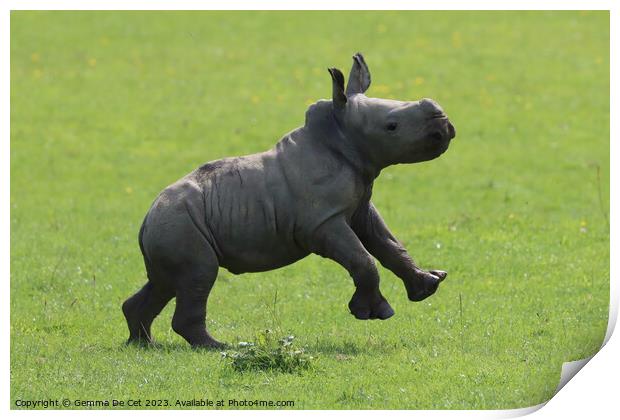 Happy baby Rhino Print by Gemma De Cet