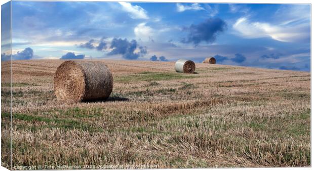 After the Harvest Canvas Print by Tom McPherson