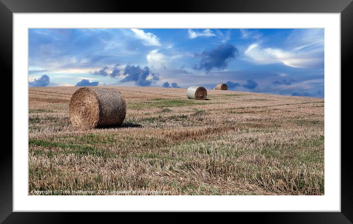 After the Harvest Framed Mounted Print by Tom McPherson