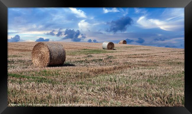 After the Harvest Framed Print by Tom McPherson