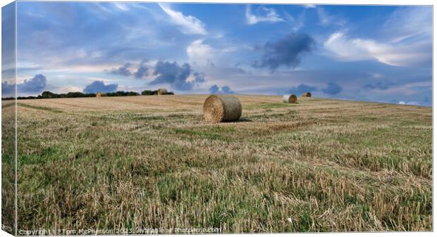 Harvest Time in Duffus, Moray Canvas Print by Tom McPherson