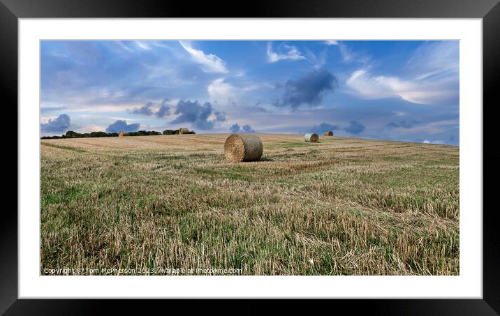 Harvest Time in Duffus, Moray Framed Mounted Print by Tom McPherson