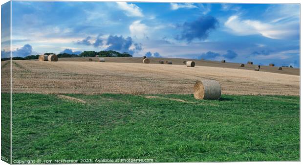 Golden Harvest in Duffus, Moray Canvas Print by Tom McPherson