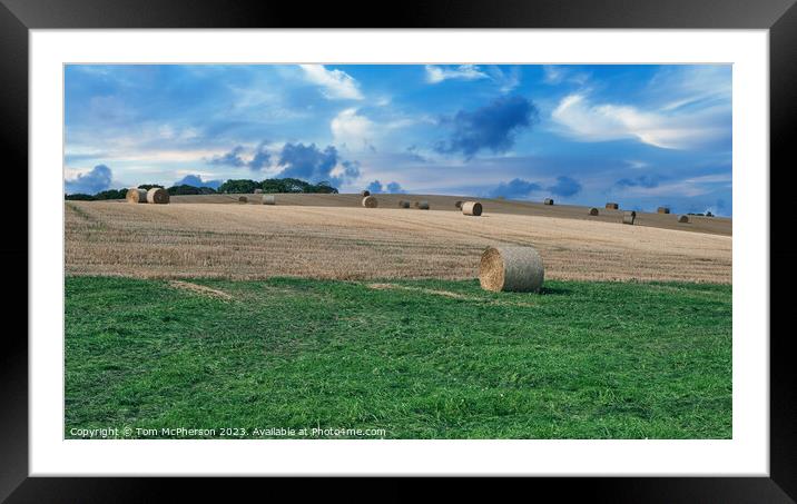 Golden Harvest in Duffus, Moray Framed Mounted Print by Tom McPherson