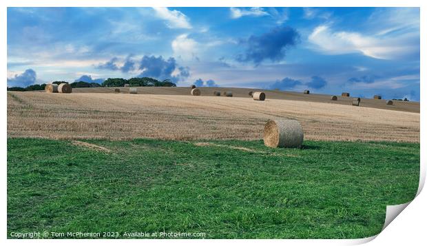 Golden Harvest in Duffus, Moray Print by Tom McPherson