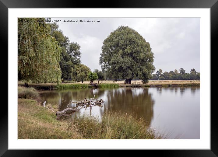Calm still waters at Bushy Park ponds Framed Mounted Print by Kevin White