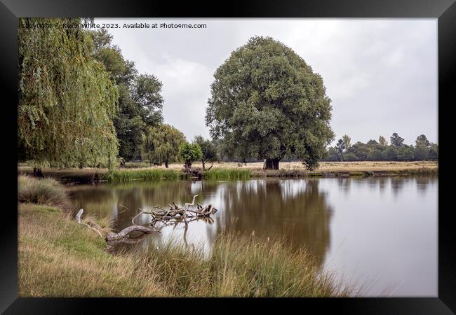 Calm still waters at Bushy Park ponds Framed Print by Kevin White