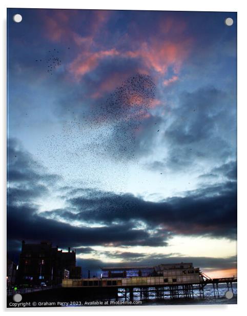Starling Spectacle Over Aberystwyth Pier Acrylic by Graham Parry