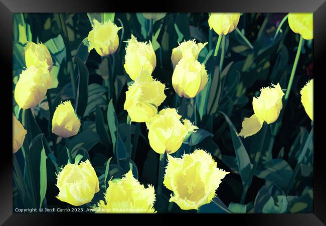 Detail of yellow tulips - CR2305-9186-ABS Framed Print by Jordi Carrio