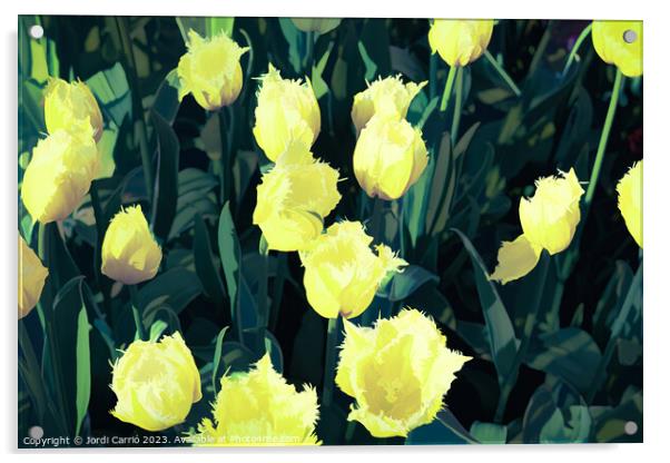 Detail of yellow tulips - CR2305-9186-ABS Acrylic by Jordi Carrio