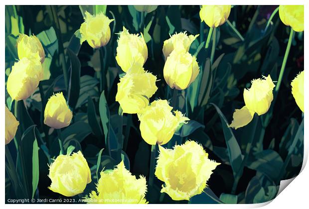 Detail of yellow tulips - CR2305-9186-ABS Print by Jordi Carrio