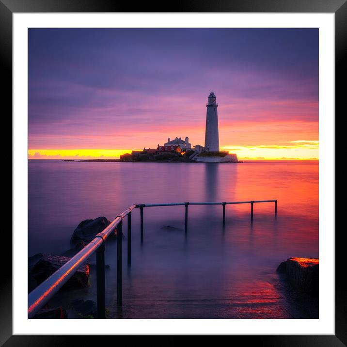 St Mary's Lighthouse Sunrise Framed Mounted Print by Tim Hill