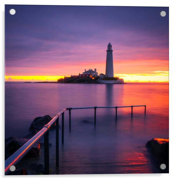 St Mary's Lighthouse Sunrise Acrylic by Tim Hill