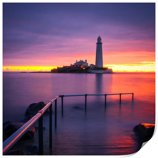 St Mary's Lighthouse Sunrise Print by Tim Hill