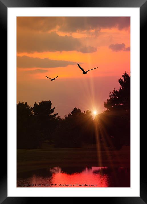 TWILIGHT TIME Framed Mounted Print by Tom York