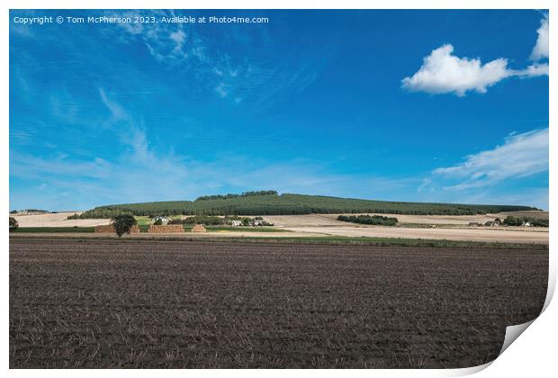 Vibrant Moray Panorama Print by Tom McPherson