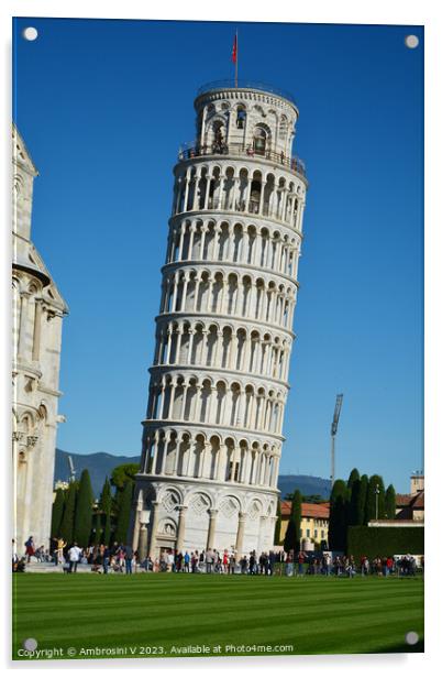 Pisa's Iconic Leaning Tower Acrylic by Ambrosini V