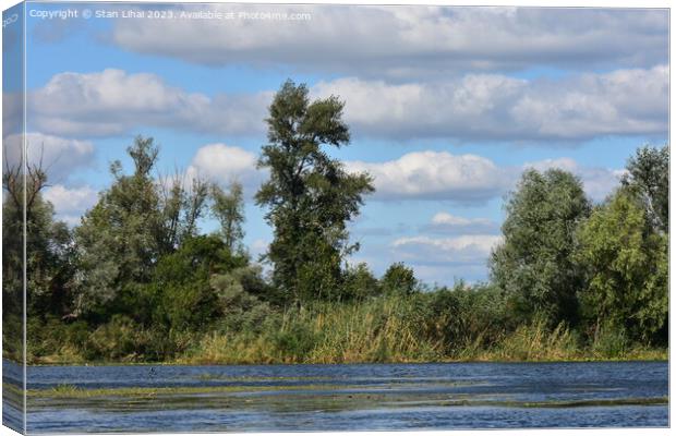 Cumulus clouds over the forest on Dnipro river Canvas Print by Stan Lihai