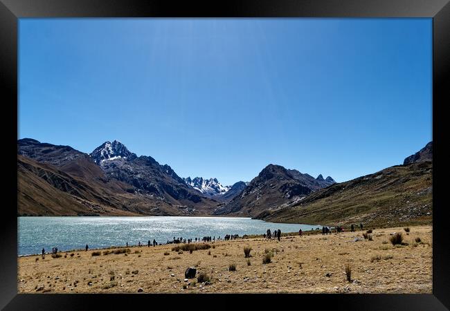 Laguna Quericocha high in the Peruvian Andes Framed Print by Steve Painter