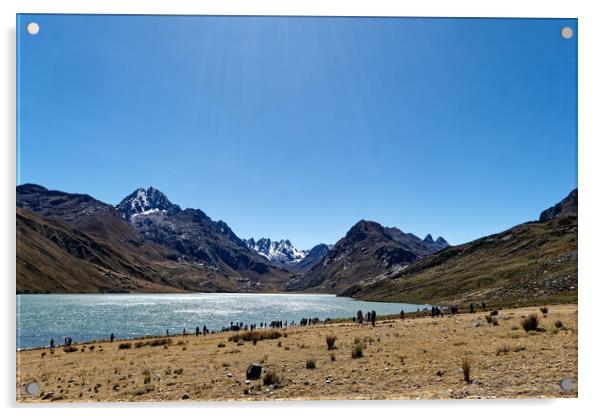Laguna Quericocha high in the Peruvian Andes Acrylic by Steve Painter