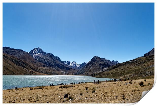 Laguna Quericocha high in the Peruvian Andes Print by Steve Painter