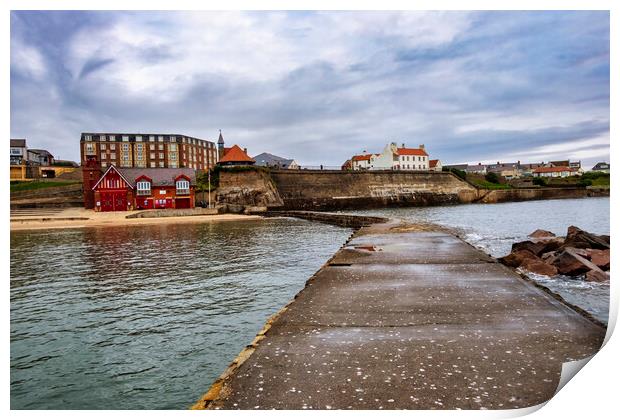 Cullercoats North Tyneside Print by Steve Smith