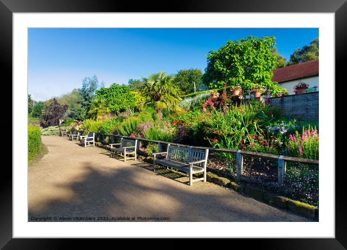 Golden Acre Park Leeds Framed Mounted Print by Alison Chambers