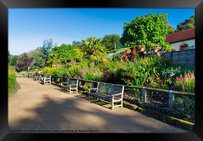 Golden Acre Park Leeds Framed Print by Alison Chambers