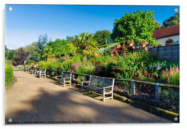 Golden Acre Park Leeds Acrylic by Alison Chambers