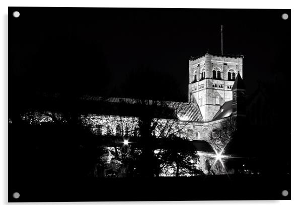 St Albans Cathedral Acrylic by Doug McRae