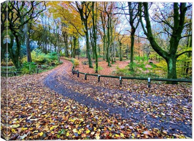 Winding path through Autumn Woodland Canvas Print by Gemma De Cet