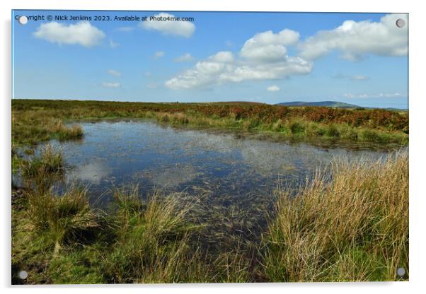 Pond on Cefn Bryn Ridge Gower Peninsula with cloud Acrylic by Nick Jenkins