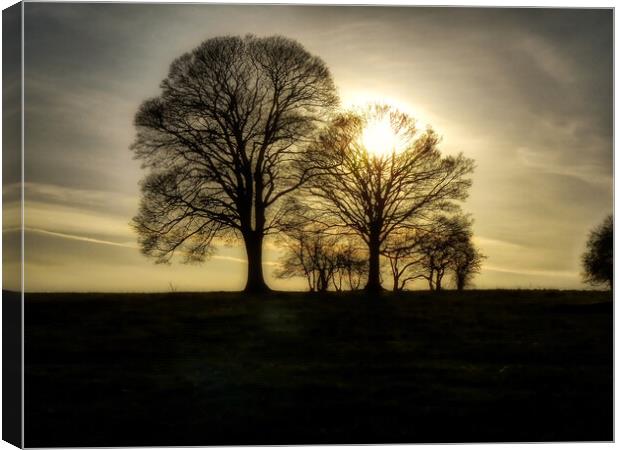 Moody Trees on Borough Hill Daventry Canvas Print by Helkoryo Photography