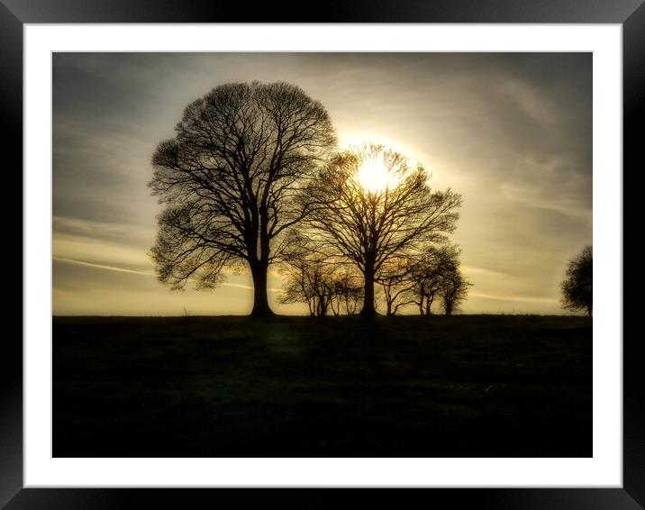 Moody Trees on Borough Hill Daventry Framed Mounted Print by Helkoryo Photography